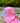 Von Dutch PINK